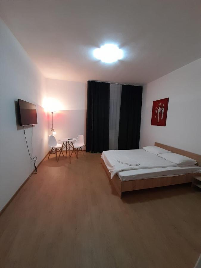 Piata Unirii- 1 Room Studio Apartment Timişoara Exterior foto